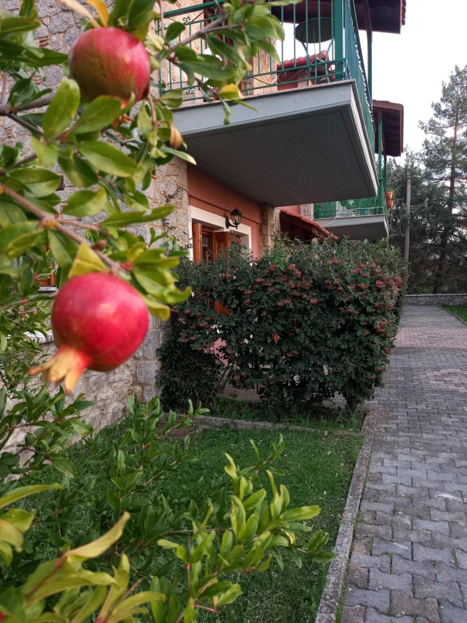 Kastalia Country Home 아라초바 외부 사진